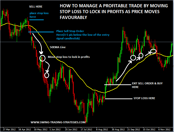 What is a swing trader in forex