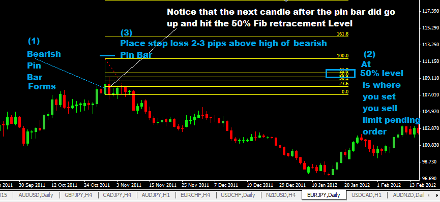 Pin Bar Forex Trading Strategy Daily Timeframe